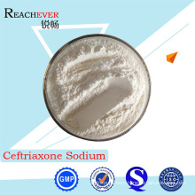 Purity Pharmaceutical Active Ingredients Ceftriaxone Sodium